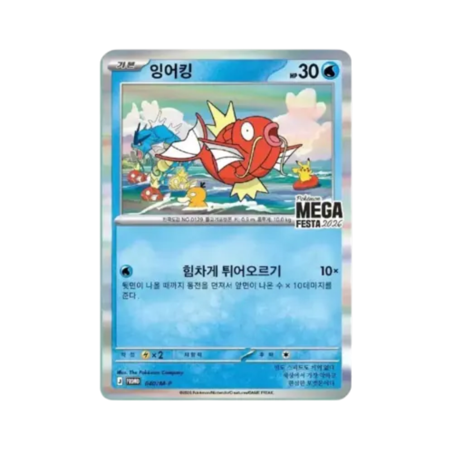 韓國鯉魚王